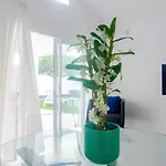 Villa Rooms&suites Princesa Leticia - Puerto Del Carmen, Lanzarote - Near The *