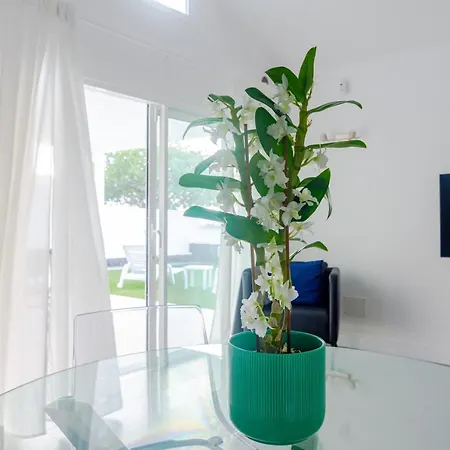 Villa & Princesa Leticia *